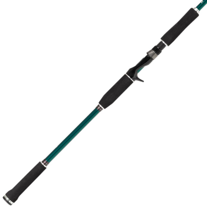 Abu Garcia Beast X Pike Jerk Casting Rod 2