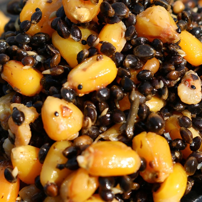 Advanta 500g Handy Pack Hemp n Maize 1