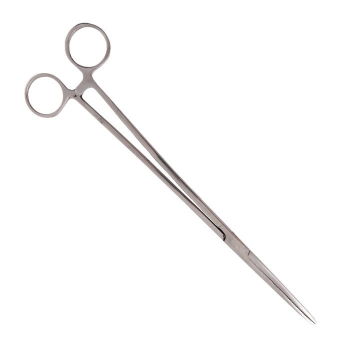Advanta Stainless Steel Straight Fishing Forceps, Size: 10 Inch 1