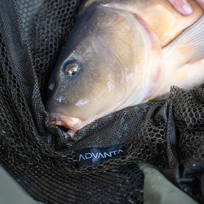 Advanta 42 Inch Landing Net & 6ft 2 Piece Handle With Net Floats In Use 12