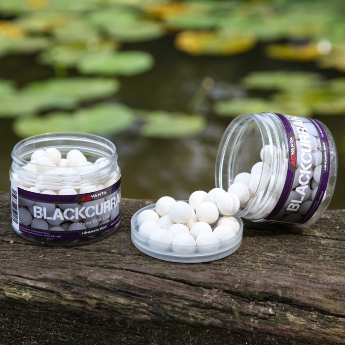 Advanta Blackcurrant White Pop Ups 50g 4