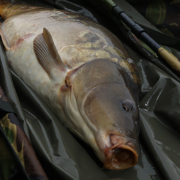 Advanta Camo Mesh Weigh Sling In Use 3