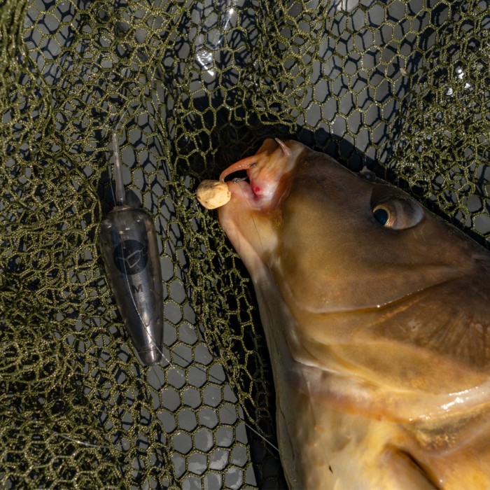 Advanta Discovery CX Landing Net 42'' (107cm) Lifestyle 