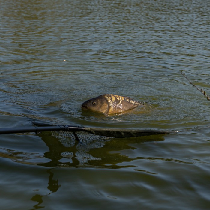 Advanta Discovery CX Landing Net 42'' (107cm) Lifestyle  4