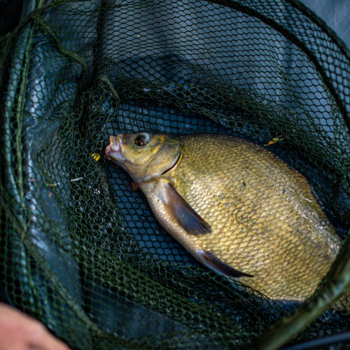 Advanta Discovery RVS Folding Specimen Net In Use 2