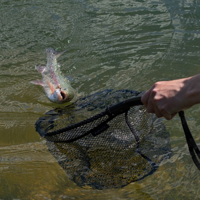 Advanta GS Trout Net In Use 2