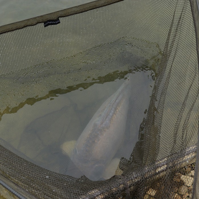 Advanta 42 Inch Landing Net & 6ft 2 Piece Handle In Use 2