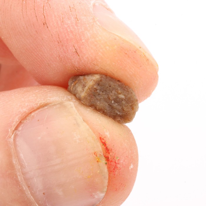 Advanta N-Fused Soft Hookable Pellets 6mm Close Up 7