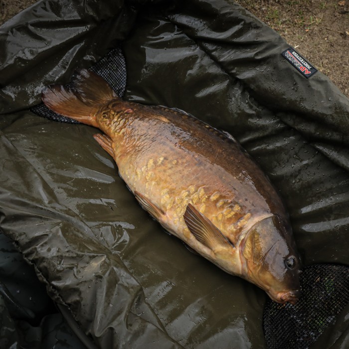 Advanta Protector Hi-Loft Cradle Large 5