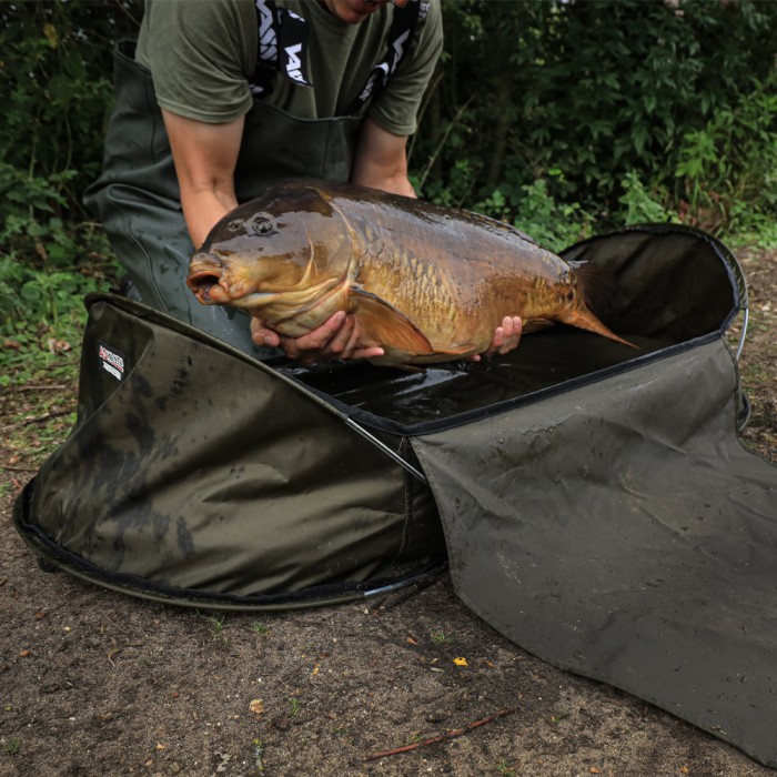 Advanta Large Quick-Cradle