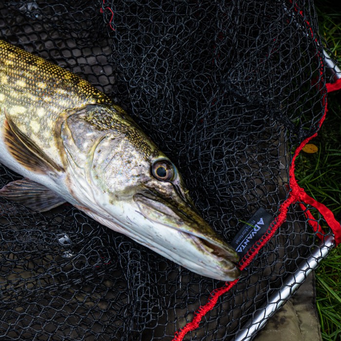 Advanta Folding Rubber Net