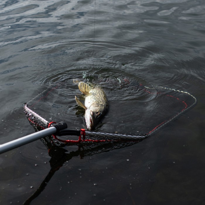 Advanta PS Folding Rubber Net In Use
