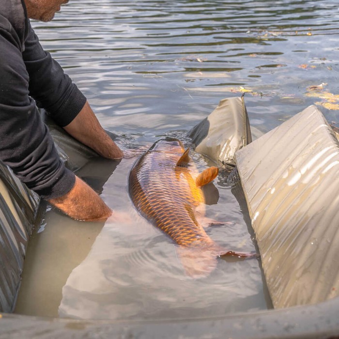 Avid Carp Pro-Tect Deluxe Cradle 9