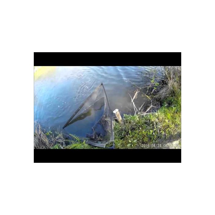 Chris Day #TeamCarpCam 1080p Video Sunglasses @ www.carpcam.co.uk