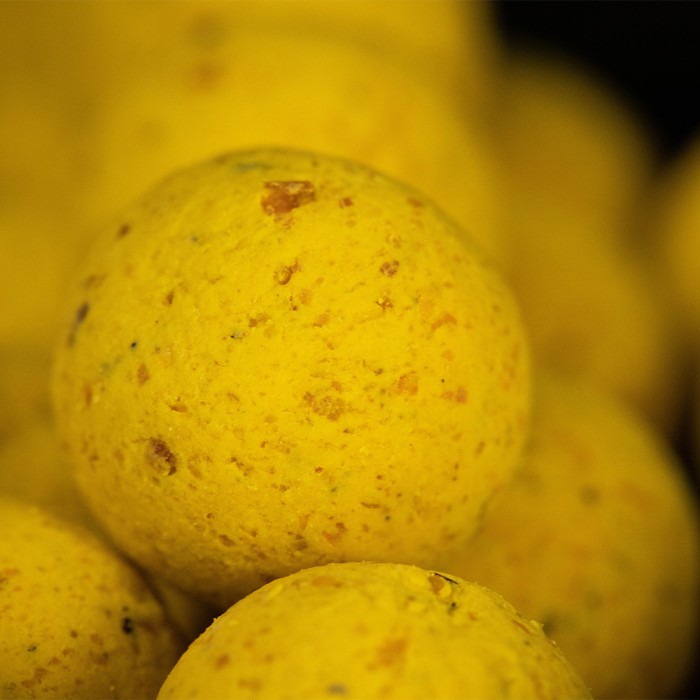 Mainline Essential Cell Shelf Life Fishing Boilies Close Up 2