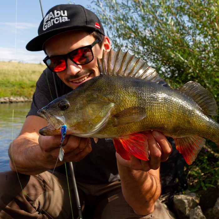 Berkley Pulse Spintail Lure 5g In Use 5