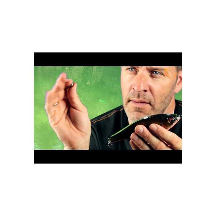 Savage Gear ** 3D ROACH JERKSTER **