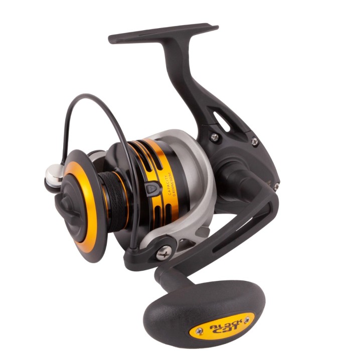 Black Cat Passion Pro FD Reel 1