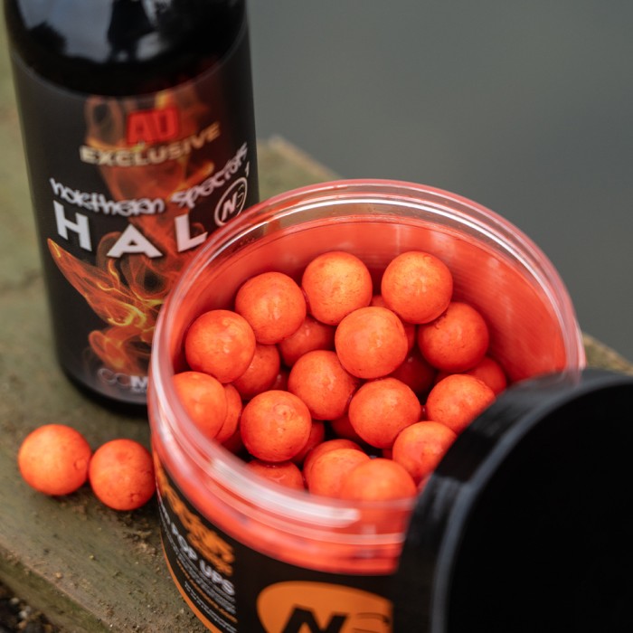 CC Moore NS1 Halo Orange