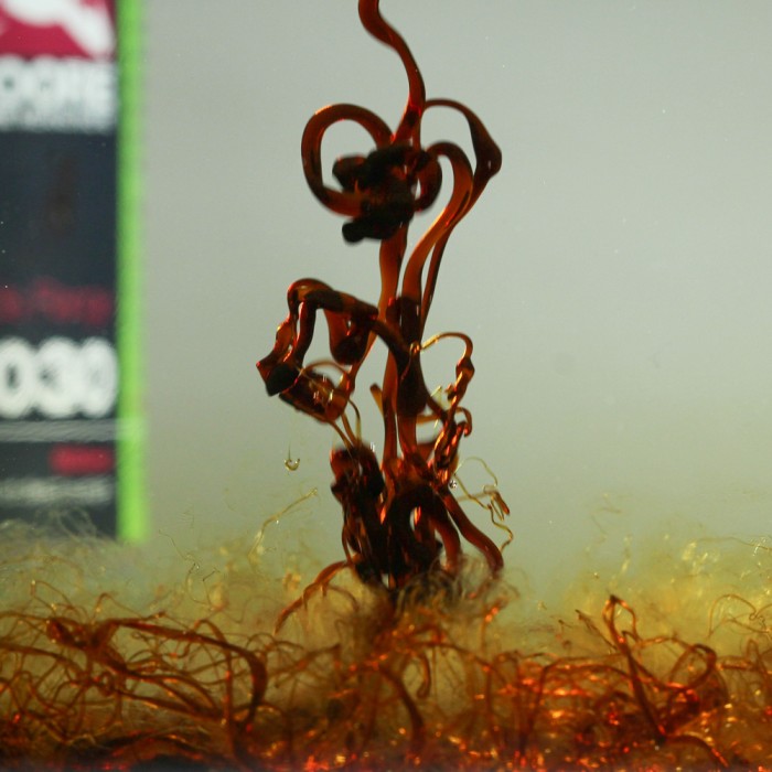 CC Moore Liquid Tuna L030 