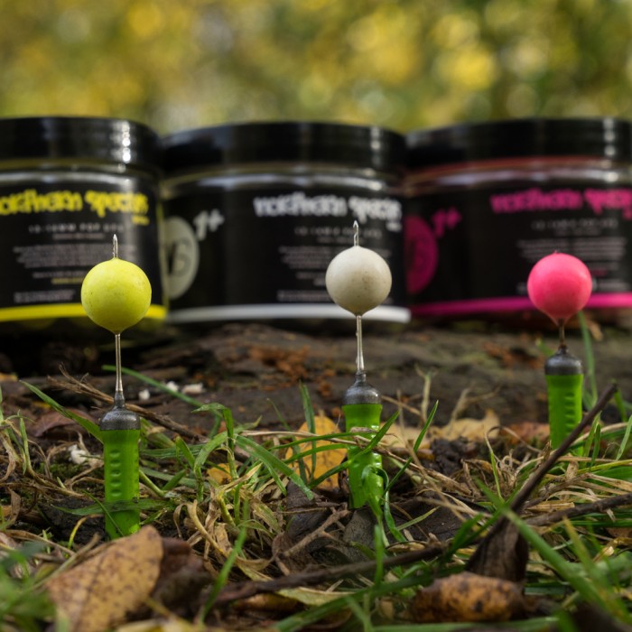 CC Moore Northern Specials Plus Pop Ups 9