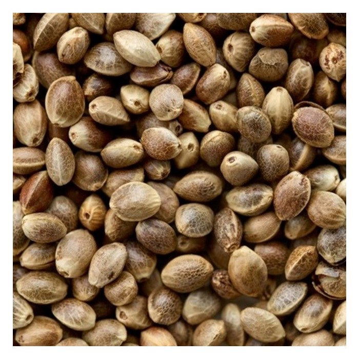 Copdock Angling Huge Hempseed 700g