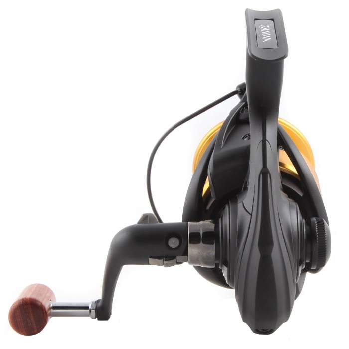 Daiwa GS LTD Front Drag Reel Back