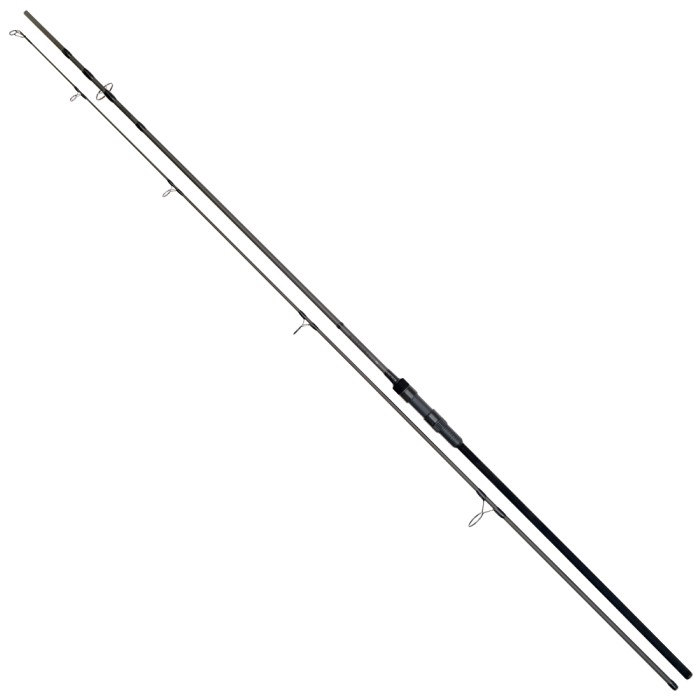 Daiwa Black Widow+ Carp Rod