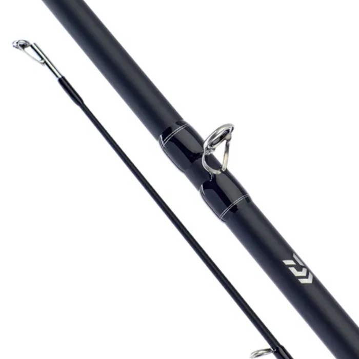 Daiwa D-Baitcast Rod & Reel Combo 2