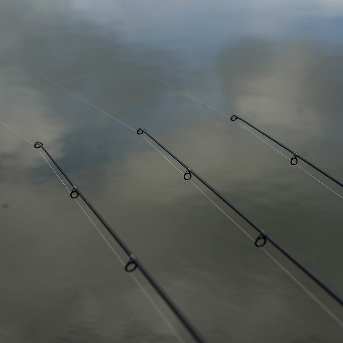 Daiwa Emcast Carp Fishing Rods In Use 10