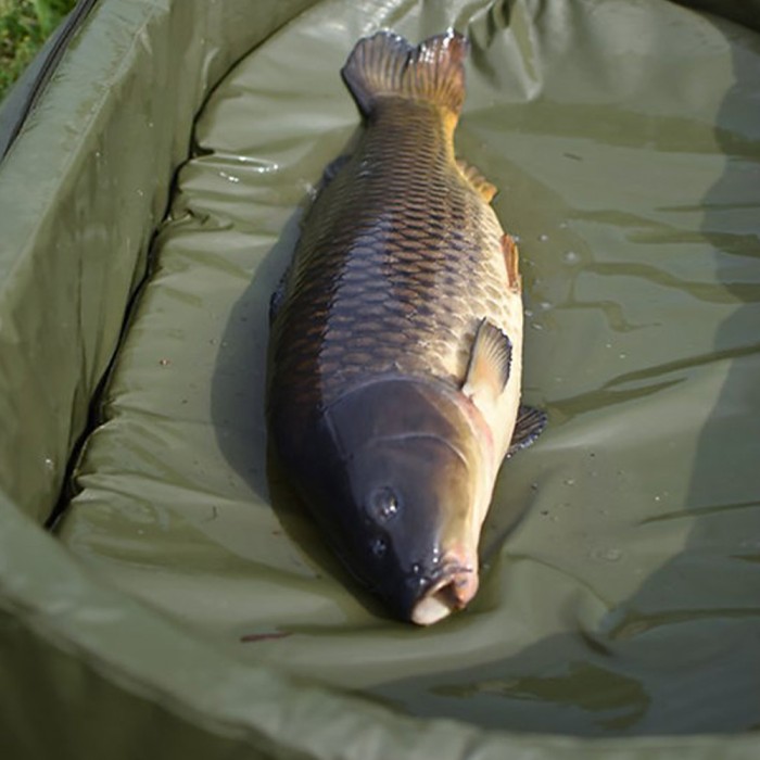 Daiwa Folding Unhooking Mat 3