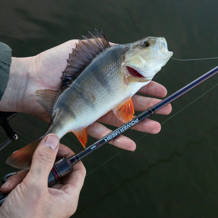 Daiwa Powermesh AX Drop Shot Fishing Rod In Use 1