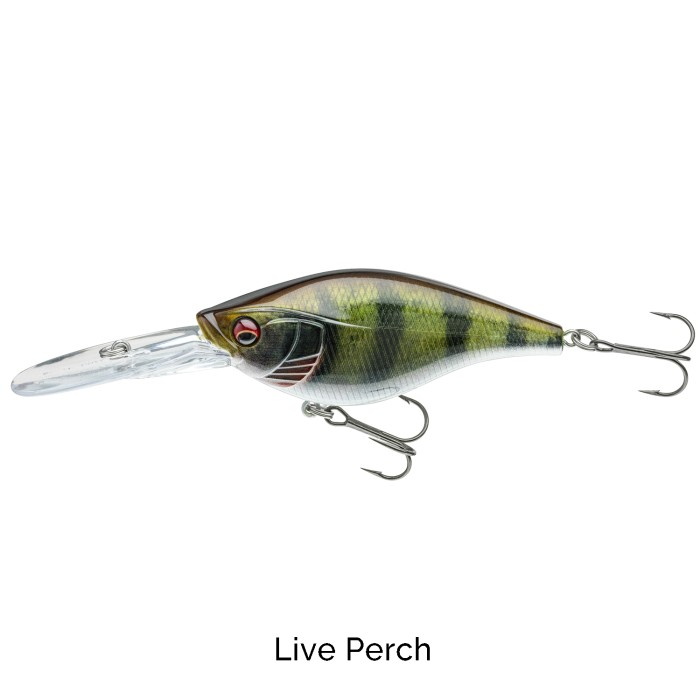 Daiwa Prorex Crank Bait DR Floating Lures 8cm Live Perch