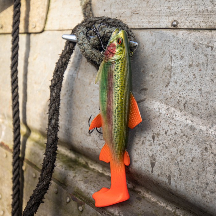 Daiwa prorex trout swimbait 18cm rainbow trout In Use  2