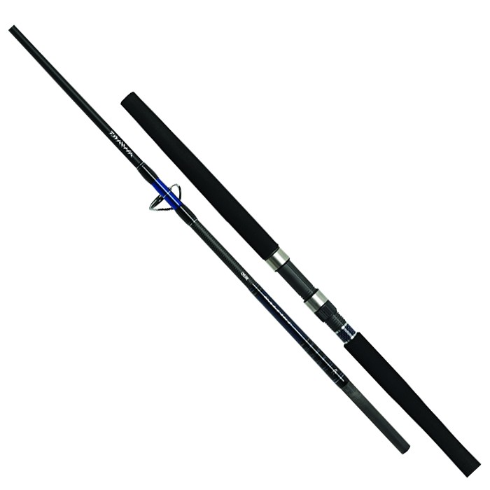 Daiwa Salt Jigging Rod