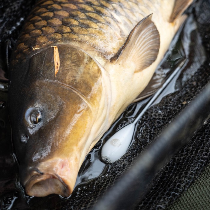 Korda Surface Fishing Bucket Bundle On Location 8