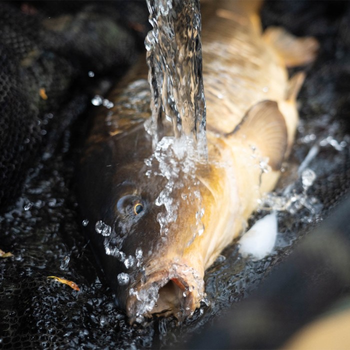 Korda Surface Fishing Bucket Bundle On Location 7