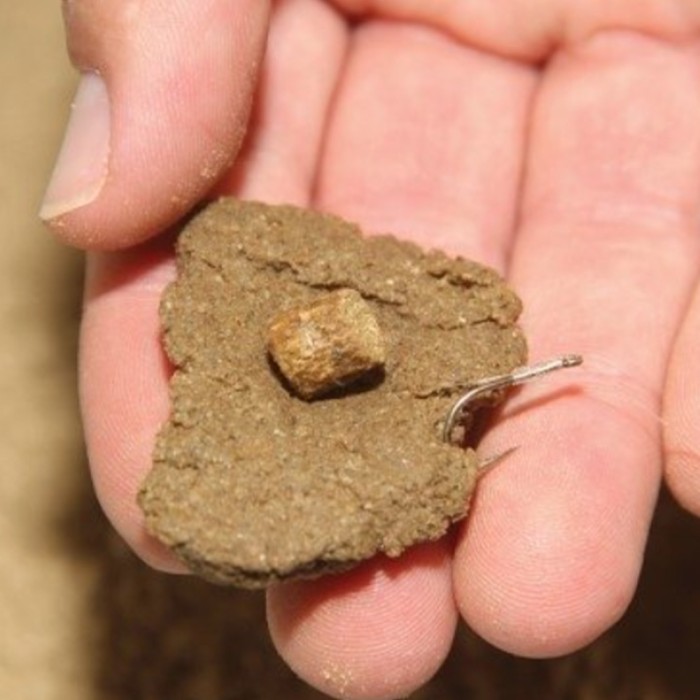 Dynamite Baits Swim Stim Amino Original Extreme Paste 500g 2