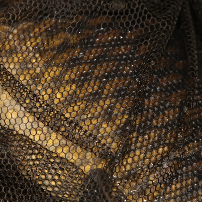 ESP Paragon Plus Landing Net Catch