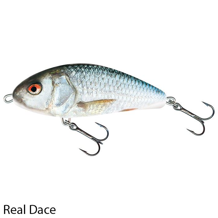 Fatso 10cm Sinking Lure Real Dace 1