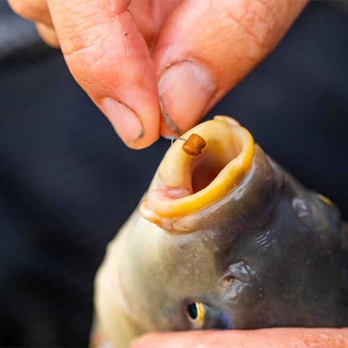 Fjuka Micros 2 In 1 Fishing Bait In Use