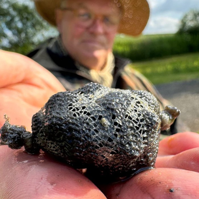 Fjuka Sensate Halibut Fish Accelerent Liquid 100ml In Use 2