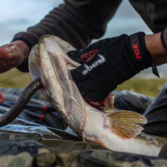 Fox Rage Fishing Glove In Use 1