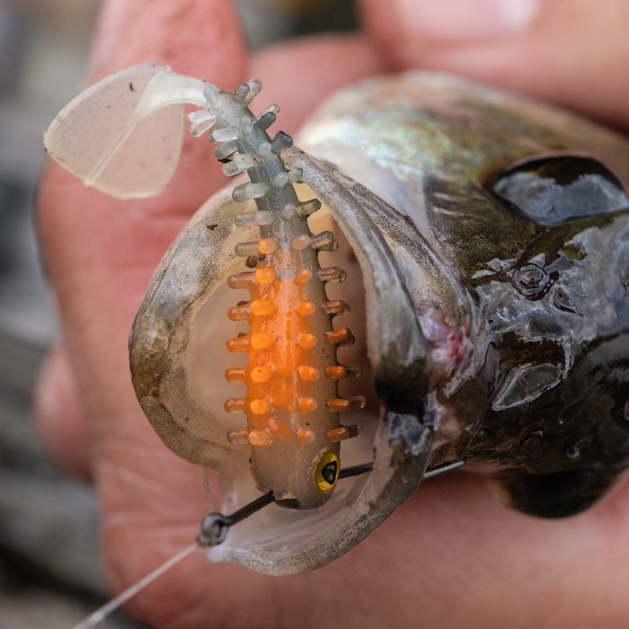 Fox Rage Ready Rig Dropshot Kit Lifestyle 2