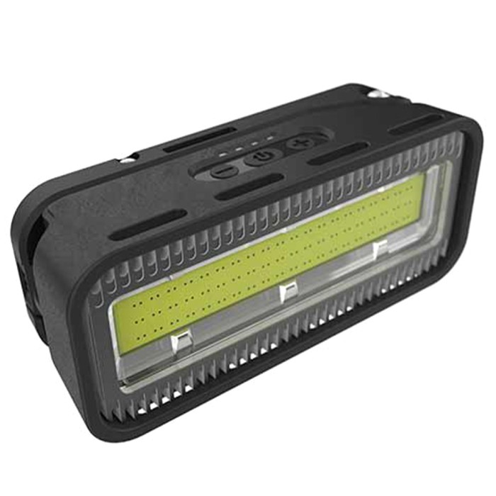 Fox RX+ Light & Remote 1