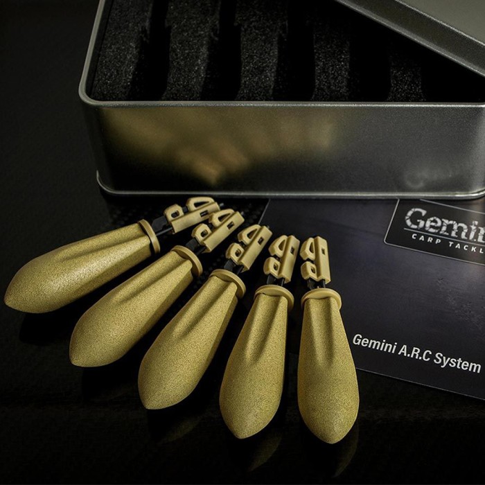 Gemini ARC Carp System Set