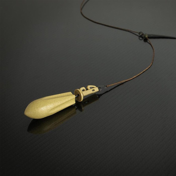 Gemini ARC Carp System