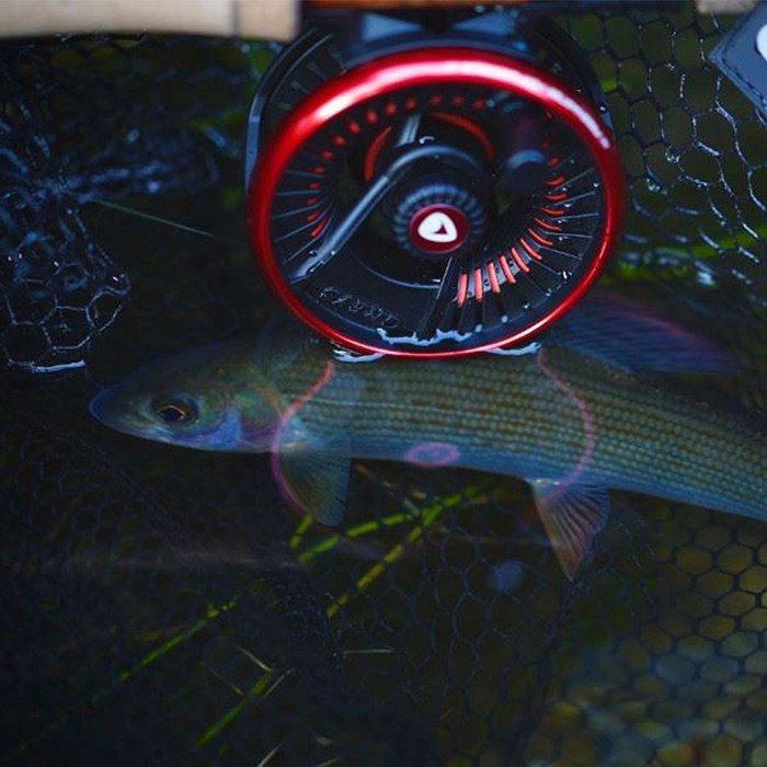 Greys Tail Fly Fishing Reel In Use