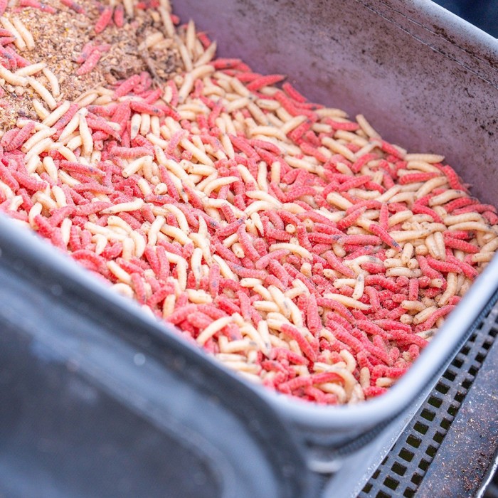 Guru Fusion Ventilator Bait Bag Combo 3 9