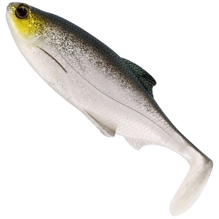 Westin Ricky The Roach Shadtail R2F R'N'R Soft Plastic Fishing Lure – 6 Color, Rigged & Ready, DA